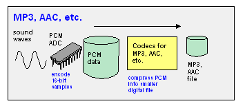 PCM dictionary definition | PCM defined