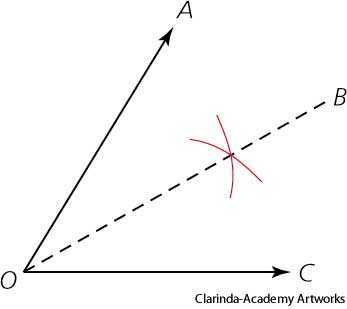 bisector bisector