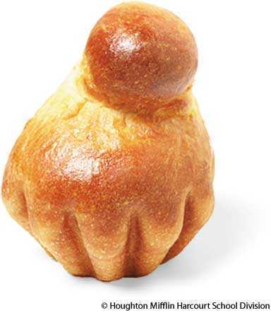 brioche brioche