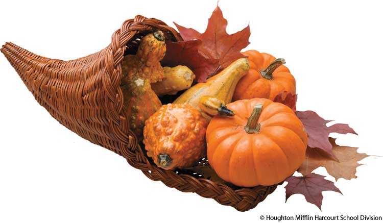 cornucopia cornucopia