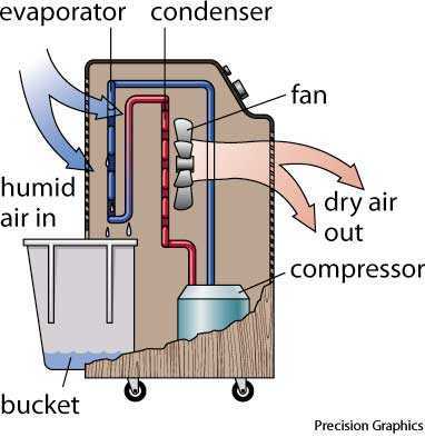 dehumidify dehumidify