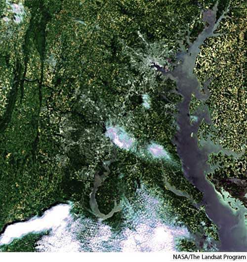 false color false color