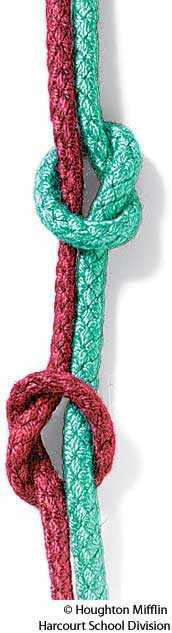 fisherman's knot fisherman's knot
