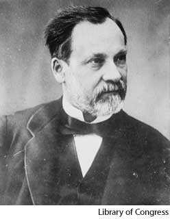 Pasteur Louis Pasteur Louis