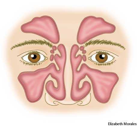 law of sinus