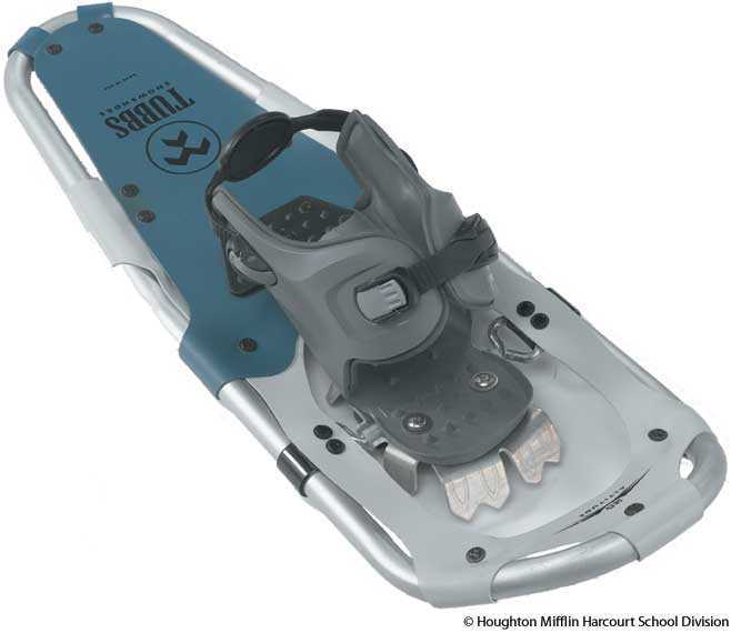 snowshoe snowshoe