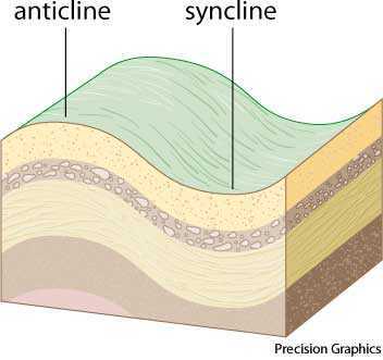 syncline syncline