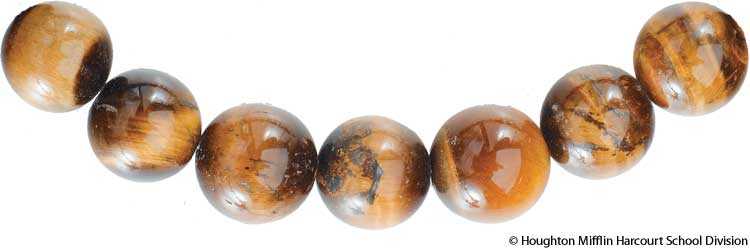 tiger-eye tiger-eye