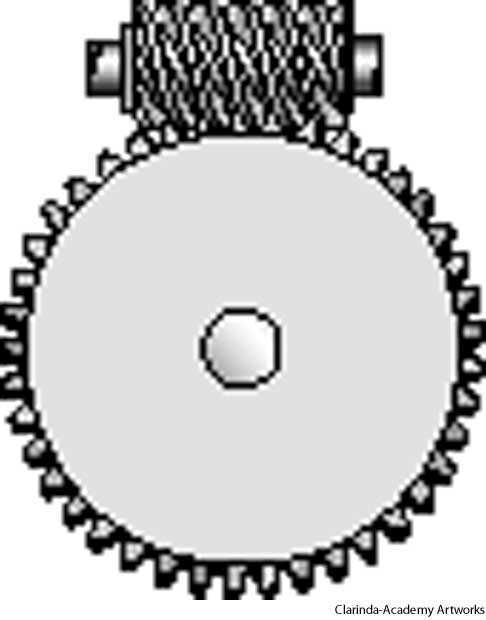 worm gear worm gear