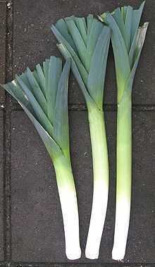 leek